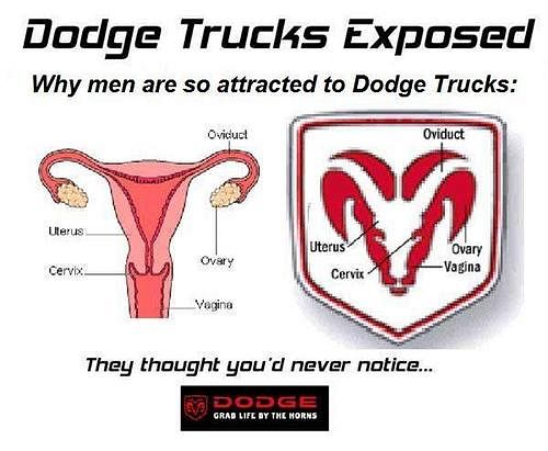 Here is the dodge trucks logo a hugely popular trucking brand