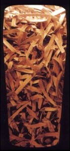 wood-chips-subliminal-ad wood-chips-subliminal-ad