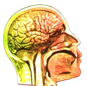 subliminal-perception-brain subliminal-perception-brain